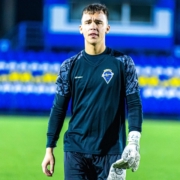 Алексей Дмитриев